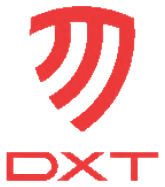 DXT IT Solutions logo